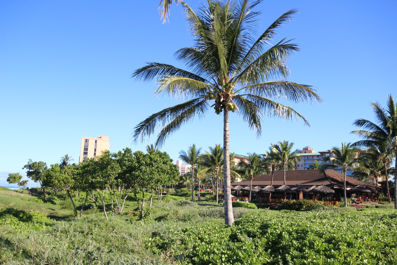 KBM Resorts Maui Kapalua Kaanapali Vacation Rental