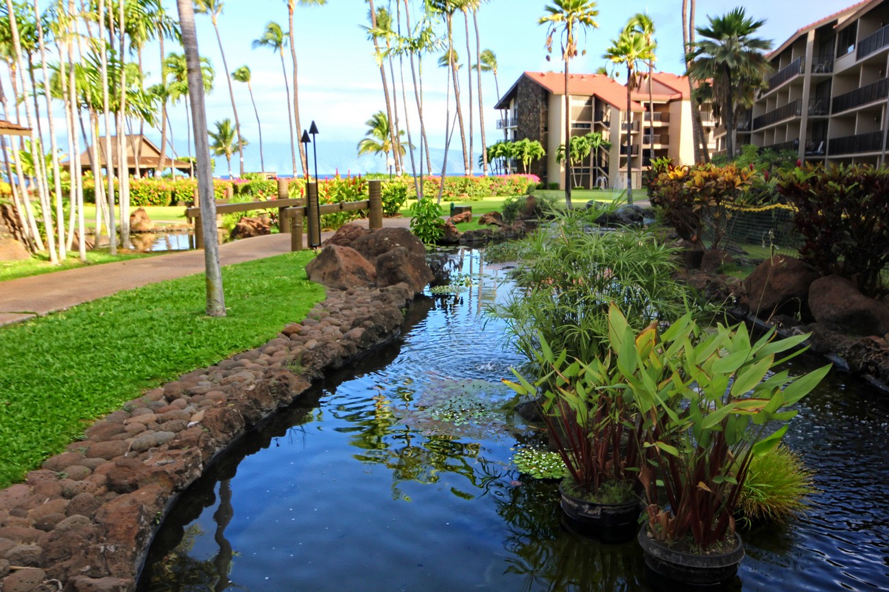 KBM Resorts Maui Kapalua Kaanapali Vacation Rental